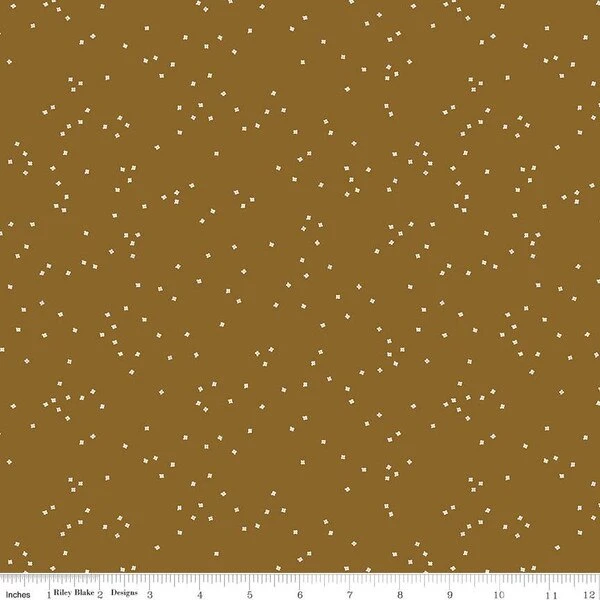 Blossom Cider 1 Blossom Cider