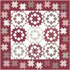 Gerri Robinson Dancing With The Stars 2 Quilt Pattern